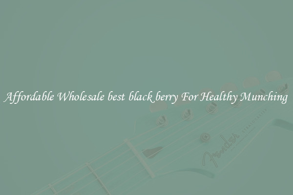 Affordable Wholesale best black berry For Healthy Munching 