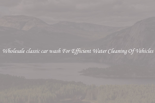 Wholesale classic car wash For Efficient Water Cleaning Of Vehicles
