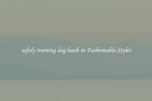 safely training dog leash in Fashionable Styles