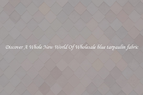 Discover A Whole New World Of Wholesale blue tarpaulin fabric
