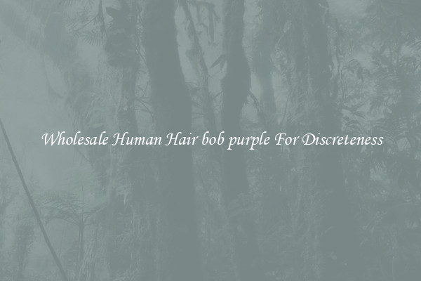 Wholesale Human Hair bob purple For Discreteness