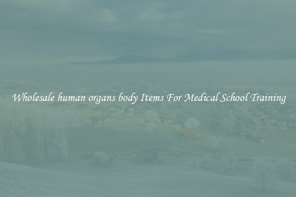 Wholesale human organs body Items For Medical School Training