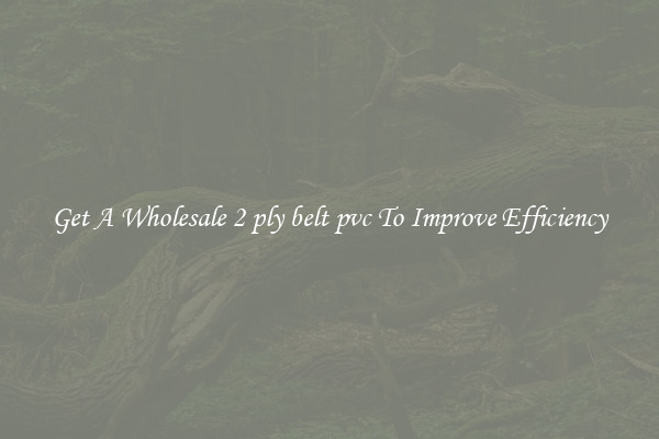 Get A Wholesale 2 ply belt pvc To Improve Efficiency