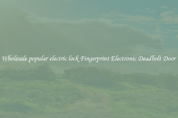 Wholesale popular electric lock Fingerprint Electronic Deadbolt Door 
