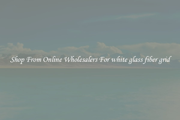 Shop From Online Wholesalers For white glass fiber grid