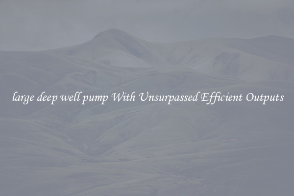 large deep well pump With Unsurpassed Efficient Outputs