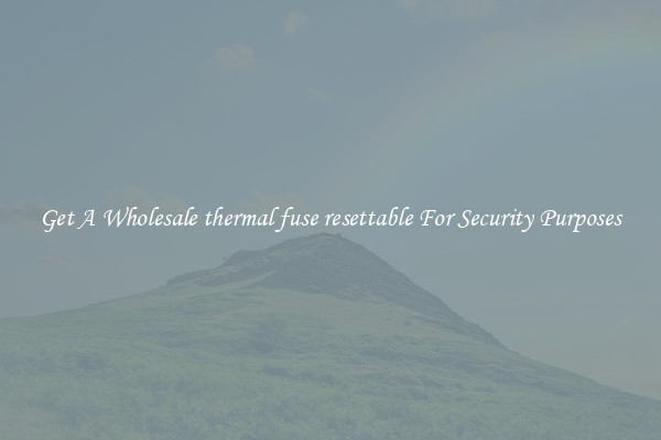 Get A Wholesale thermal fuse resettable For Security Purposes