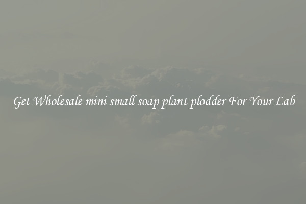 Get Wholesale mini small soap plant plodder For Your Lab