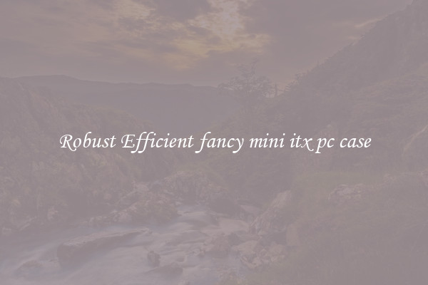 Robust Efficient fancy mini itx pc case