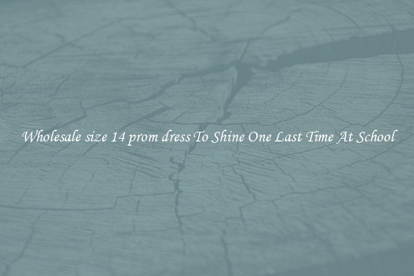 Wholesale size 14 prom dress To Shine One Last Time At School