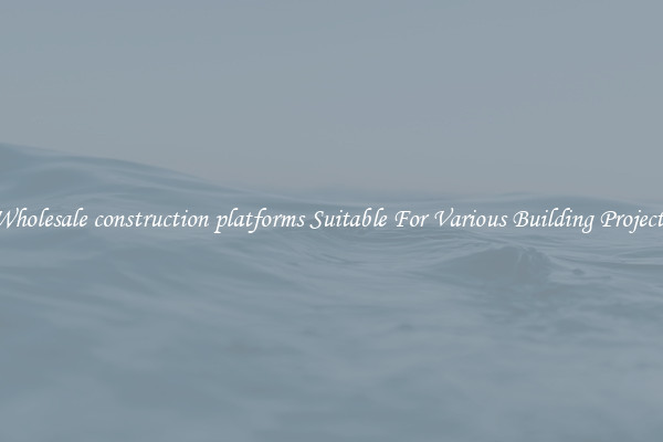 Wholesale construction platforms Suitable For Various Building Projects