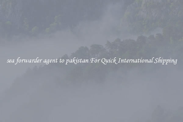 sea forwarder agent to pakistan For Quick International Shipping