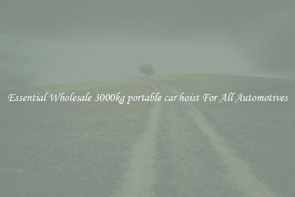 Essential Wholesale 3000kg portable car hoist For All Automotives